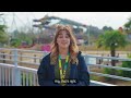 Thorpe Park | Sparkle Project