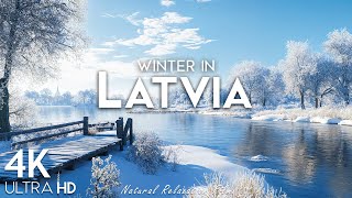 Winter Latvia 4K UHD ❄ Enchanting Winter, Scenic Relaxation Film With Piano Relaxing Music