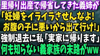 【スカッと】里帰り出産で帰省してきた義姉から強制退去要求「妊婦をイライラさせんなよ！お腹の子に悪いから出て行け！」→私「では、実家に帰ります」何も知らない義家族の末路がヤバすぎる…www【修