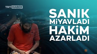 Arjantin'de sıra dışı mahkeme: Sanık miyavladı, hakim azarladı