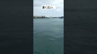 凄く広い、静岡県清水港。#釣り #釣り初心者 #釣りyoutube #釣りビギナー #釣りに行く #清水港 #fishing #fishingvideo #angela #東海釣りビギナーズ