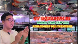 CV AQUARIUM 88 HARGA IKAN ARWANA TERLENGKAP DAN TERMURAH DI BEKASI!!