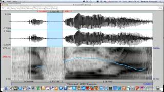 Joe spanish 1 Tutorial students MPEG 4