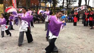 娯翔連（八王子いちょう祭り2012・陵南公園分園・躍動）