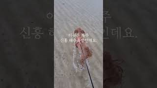 반려견과 함께 갈 수 있는 제주해수욕장?🏖 #shorts