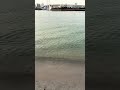 お台場海浜公園 ビーチ 浜 浜辺 砂 砂浜 beach shorts 観光 旅行 散歩 お台場 お台場海浜公園