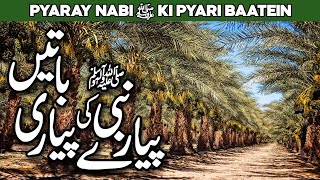 Pyare Nabi ki Pyari Baatein | Hadees in Urdu | Pyare Rasool ki Pyari Baaten | Al Habib