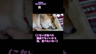 【柴犬】柴犬の気持ち　#shorts