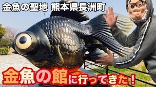 熊本県長洲町 金魚の館へ行ってきた！