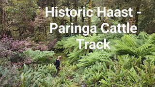 Running the Haast - Paringa Cattle Track in a day. West Coast New Zealand