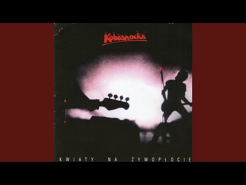 Kobranocka – Kwiaty Na Żywopłocie (2000, CD) - Discogs