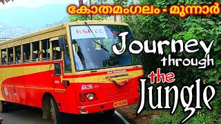 Jungle Safari | ജംഗിൾ സഫാരി | Journey through the Jungle | KSRTC | Aanavandi | ആനവണ്ടി | trippers