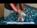 Безценен дар Живот с ново сърце Новините на Нова 23.10.2015