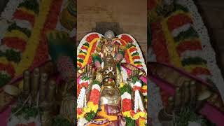 #திருஅன்பில் திவ்யதேசம் #ஸ்ரீசுந்தரராஜபெருமாள் #மாசிவிசாகம் #கருடசேவை  #Garudasevai #shorts