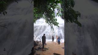 নাপিত্তাছড়া ঝর্ণা Best moment 🧡💛 napittachora waterfall || #waterfall  #mrtowfiq