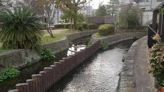 三月、尼崎の用水路の公園、水が流れる