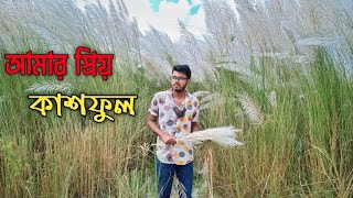 কাশফুল/ সাদা রঙের স্বপ্ন /দত্তেরবাজার, গফরগাঁও