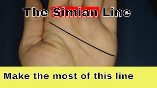 The Simian Line - Health, Relationships and Money