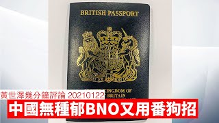 人大常委無種郁 BNO 所以用番傳媒流料攻勢 黃世澤幾分鐘 #評論 20210122