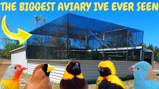 Visiting Tonys Aviary from BONESBIRDS in North, Queensland AUSTRALIA