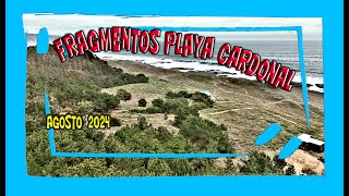 202408 - Fragmentos de Playa Cardonal