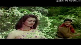 Tum Kamsin Ho Nadan Ho | Mohammed Rafi | Ayee Milan Ki Bela (1964)
