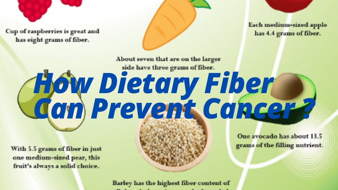 How Dietary Fiber Can Prevent Cancer ? - YouTube