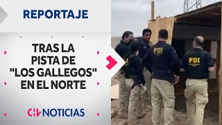 REPORTAJE | Tras la pista de Los Gallegos: ¿Se puede combatir al crimen organizado en el norte?