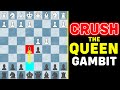 CRUSH The Queen's Gambit (Aggressive Gambit)