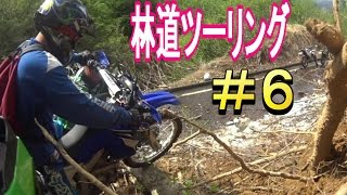 林道ツーリング＃６　山を突っ走る！