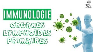 Immunologie - les Organes Lymphoïdes Primaires