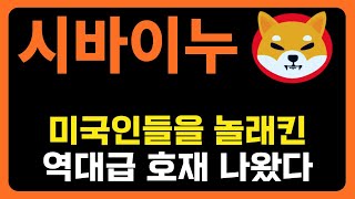 [ 시바이누 ] 미국인들을 놀래킨 역대급 호재 나왔습니다