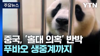 中, 푸바오 '홀대 의혹'에 생중계까지...다음 달 대중 공개 / YTN
