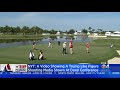 NY Times Violent Parody Video Shown At Trump Resort