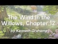 The Wind in the Willows, Chapter 12: English Audiobook, Text on Screen, Classic Short Story Fiction