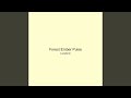 Forest Ember Pulse