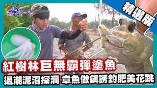 【蘇門答臘】紅樹林泥沼探洞 章魚做餌誘釣大彈塗魚（炭火燒烤花跳）｜《世界第一等》870集精華版