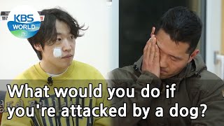 What would you do if you're attacked by a dog? (Dogs are incredible) | KBS WORLD TV 210407