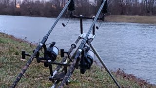 lednové Labe,, live stream, Tactics baits . Tondys carp a david..... bude prví kapr sezóny 2024