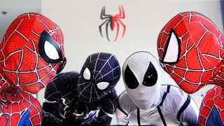 TEAM SPIDER-MAN vs BAD GUY TEAM || Who Is THE REAL HERO ?? ( Live Action )