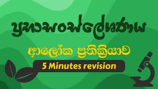 Light Dependant Reaction In 5 Minutes-ප්‍රභාසංස්ලේශණයේ ආලෝක ප්‍රතික්‍රියාව මිනිත්තු 5න් මතක් කරගනිමු