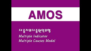 AMOS를 활용한 구조방정식 - (14) 다중지표다중원인모형(MIMIC)(Multiple Indicator Multiple Causes Model)