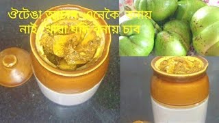 ঔটেঙা আচাৰ /Elephant Apple pickle@Rekhaassameserecipesvlog