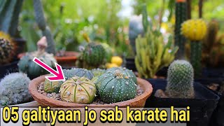 Cactus ugaane me 05 galtiya : jo sabase hoti hai