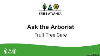 Ask the Arborist: Fruit Tree Care