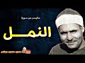 كامل يوسف البهتيمى | النمــــل | من مسجد عمـر مكـرم بالقاهرة عام 1965م !! جودة عالية HD