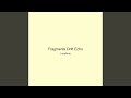 Fragments Drift Echo