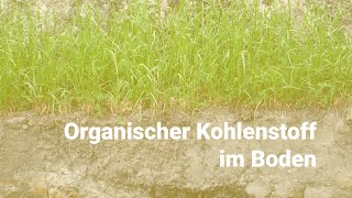 Organischer Kohlenstoff im Boden