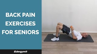 Back Pain Exercises for Seniors, exercises for the elderly, low back strengthening, strength seniors