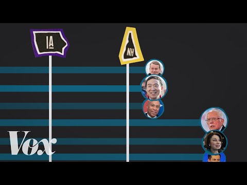 America’s presidential primaries, explained